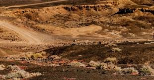 美国商业赌场2025年税收贡献超150亿美元